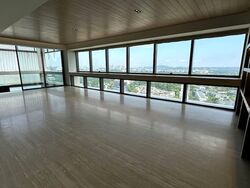 Hana (D10), Condominium #581689891